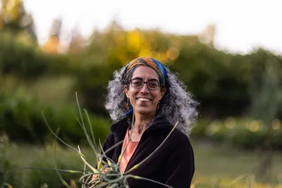 Neilufar Naini, an Iraninan American organic farmer, harvests scapes from a patch of garlic at her farm in Sequim, Washington on June 16, 2023.